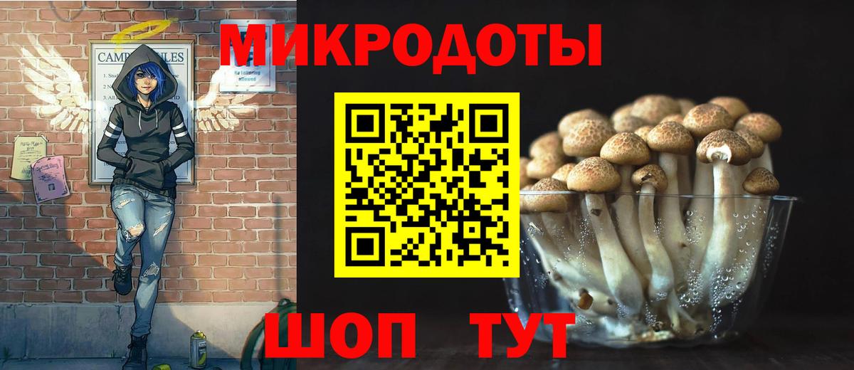 Псилоцибиновые грибы Magic Shrooms  что такое наркотик  Кизилюрт  Вход с VPN 