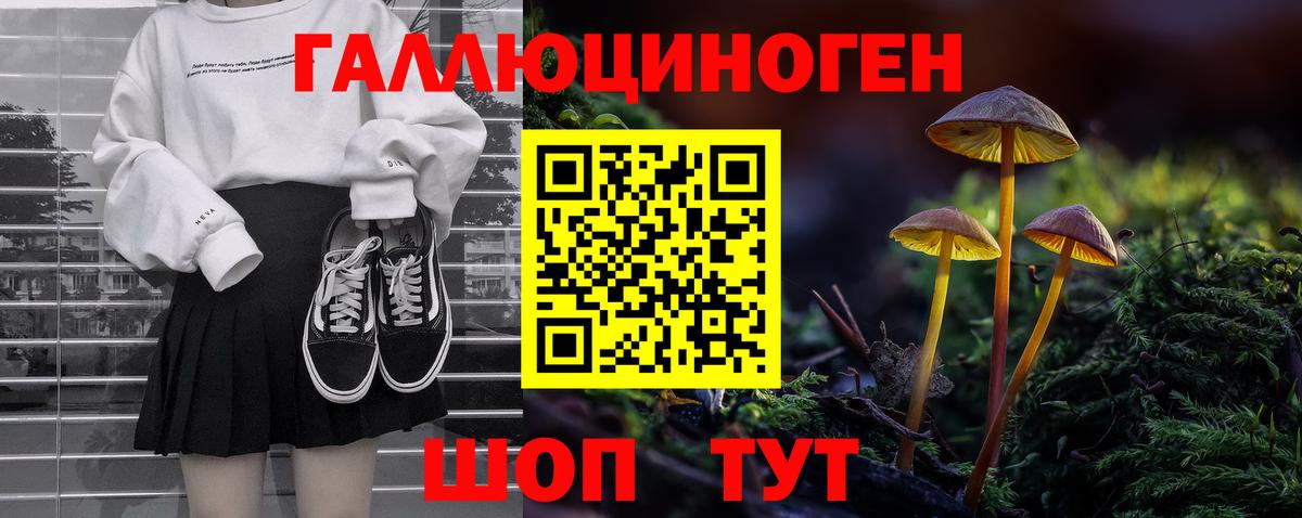 Галлюциногенные грибы Psilocybine cubensis Кизилюрт